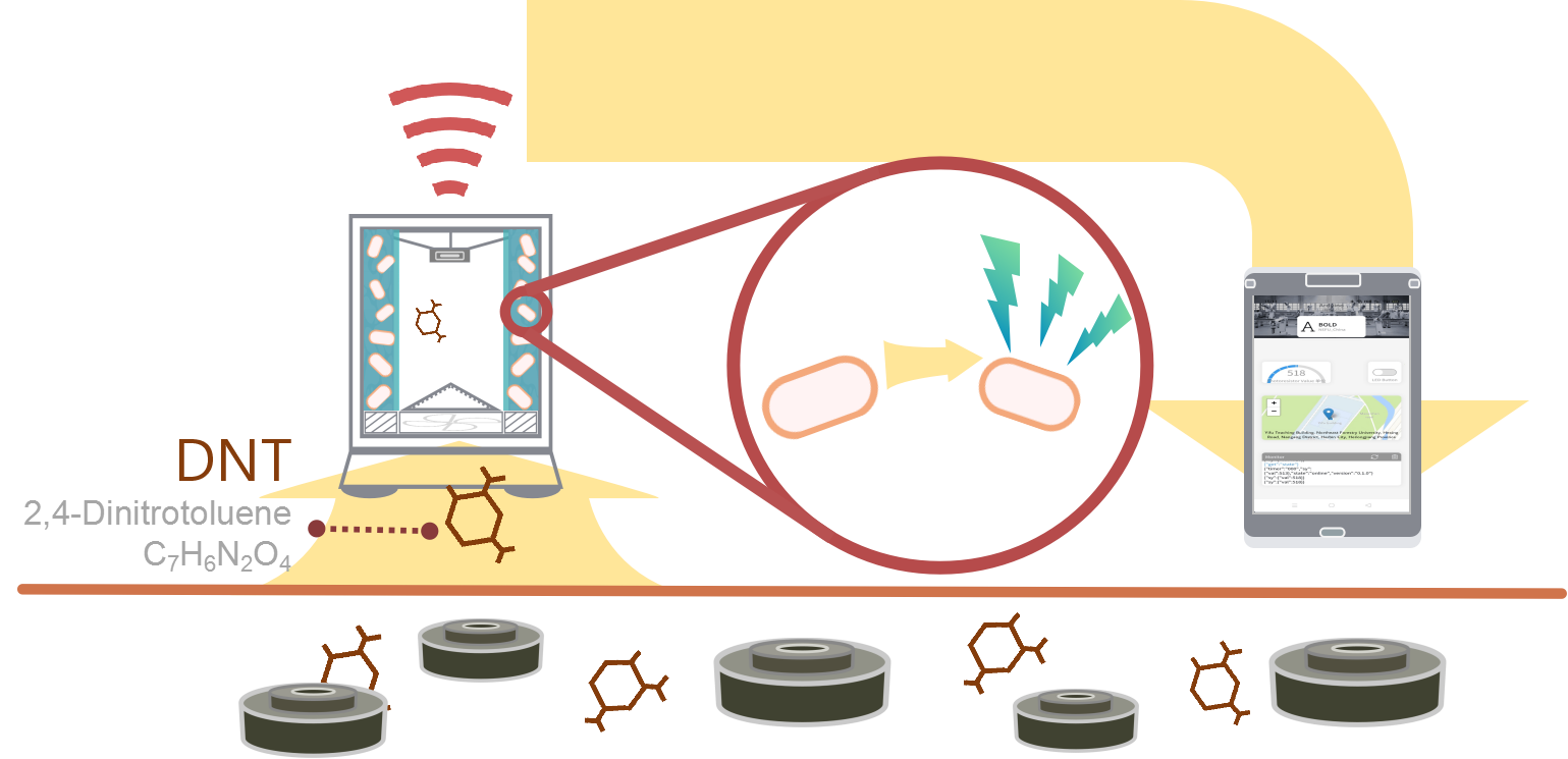 Fig.1 - BOLD 概要 - Wiki トップ より引用