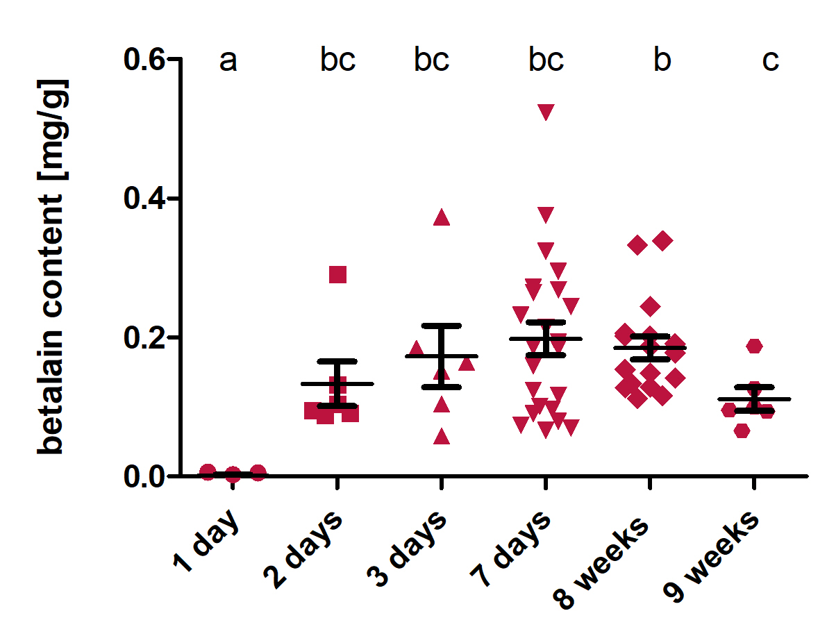 Fig.12 - RUBY レポーターの特性評価