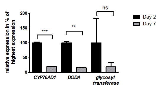 Fig.13 - RUBY レポーターの特性評価