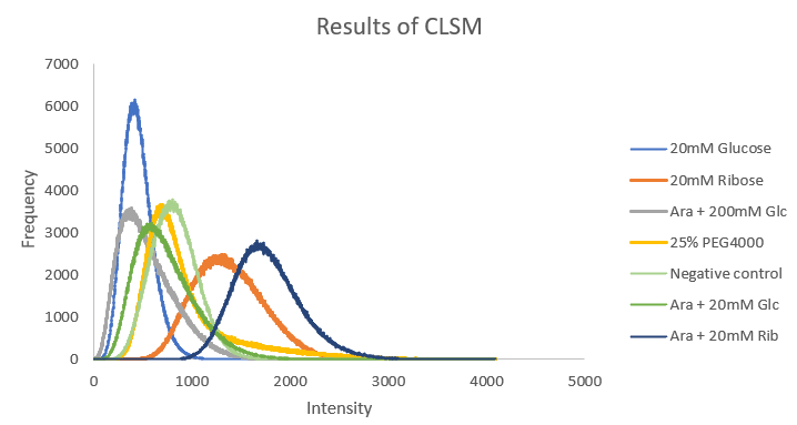 Fig.3 - CLSM 
