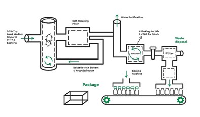 図 19 Micrancide 除草剤製造の概略