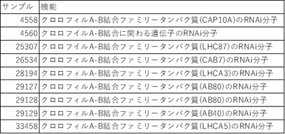 表 1 クロロフィル合成関連遺伝子を標的とした RNAi 分子